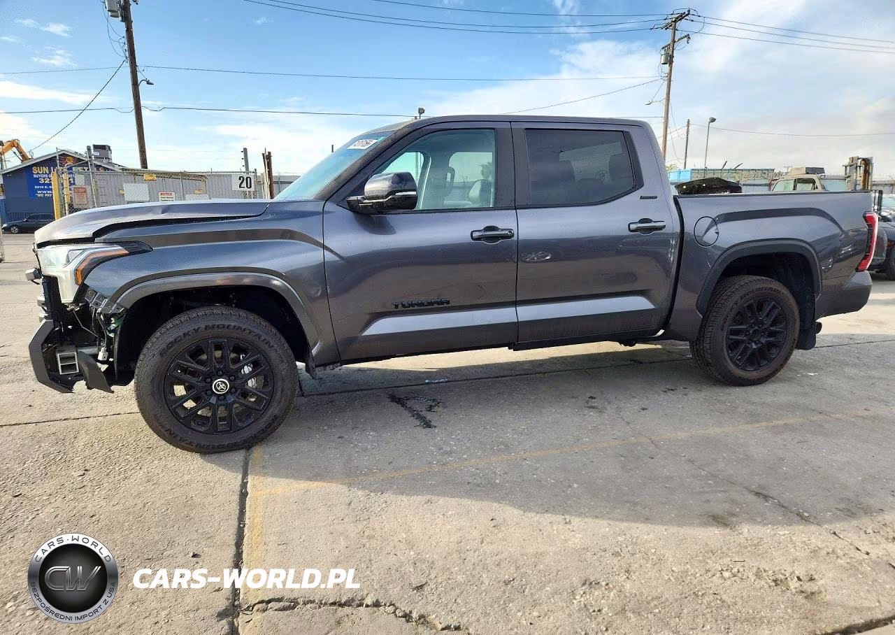2024 Toyota Tundra Limited VIN:5TFWA5DB8RX193437 - 1