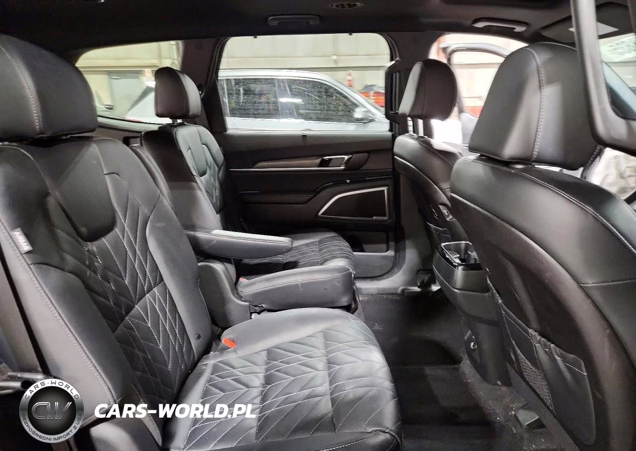2024 Kia Telluride Ex X-Line VIN:5XYP3DGC4RG547471 - 11