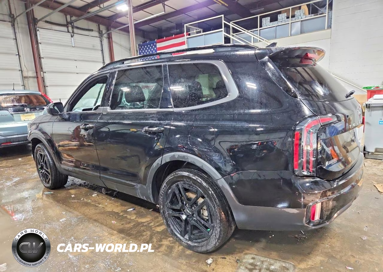 2024 Kia Telluride Ex X-Line VIN:5XYP3DGC4RG547471 - 2