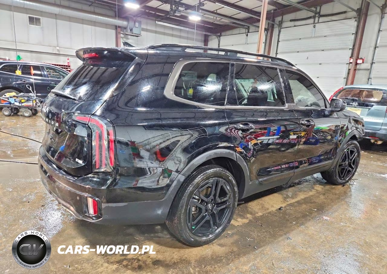 2024 Kia Telluride Ex X-Line VIN:5XYP3DGC4RG547471 - 3