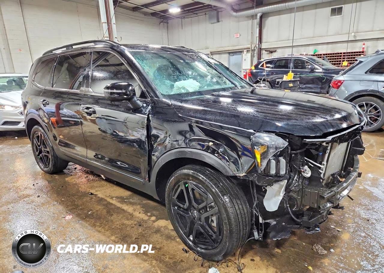 2024 Kia Telluride Ex X-Line VIN:5XYP3DGC4RG547471 - 4
