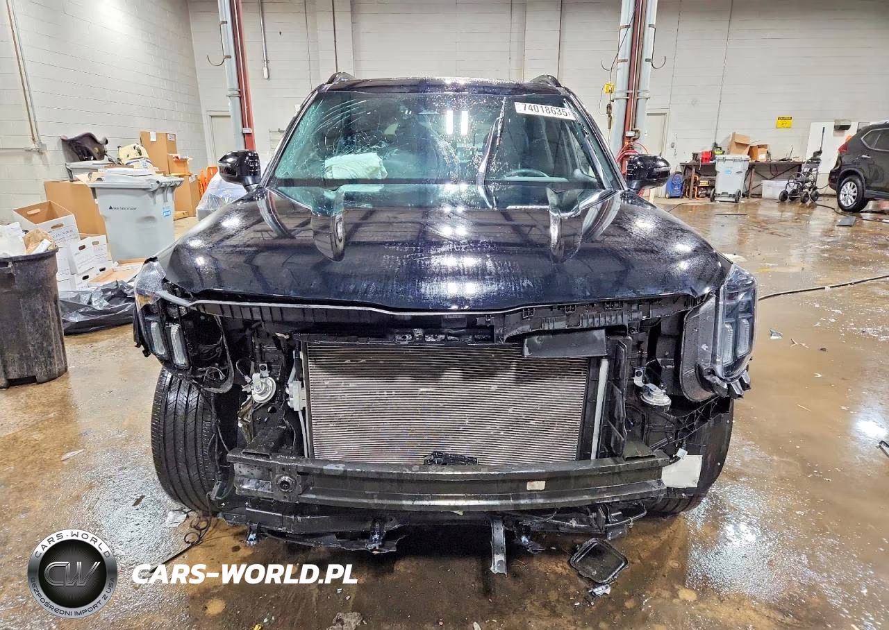 2024 Kia Telluride Ex X-Line VIN:5XYP3DGC4RG547471 - 5