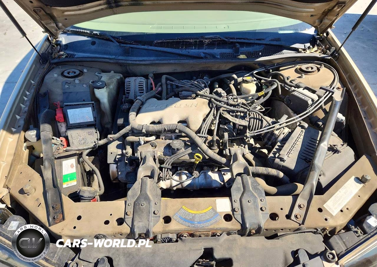 2004 Chevrolet Impala VIN:2G1WF52E849172196 - 11
