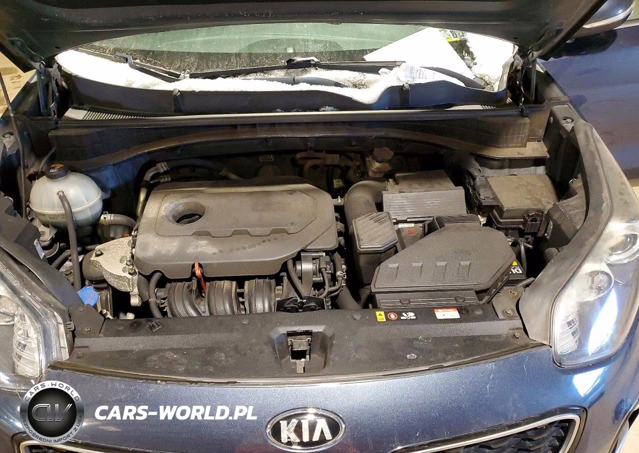 2019 Kia Sportage Ex VIN:KNDPNCAC0K7546320 - 12