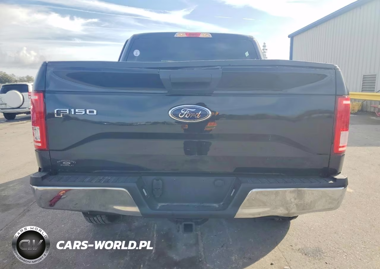 2015 Ford F150 Supercrew VIN:1FTEW1EP9FKD23489 - 6