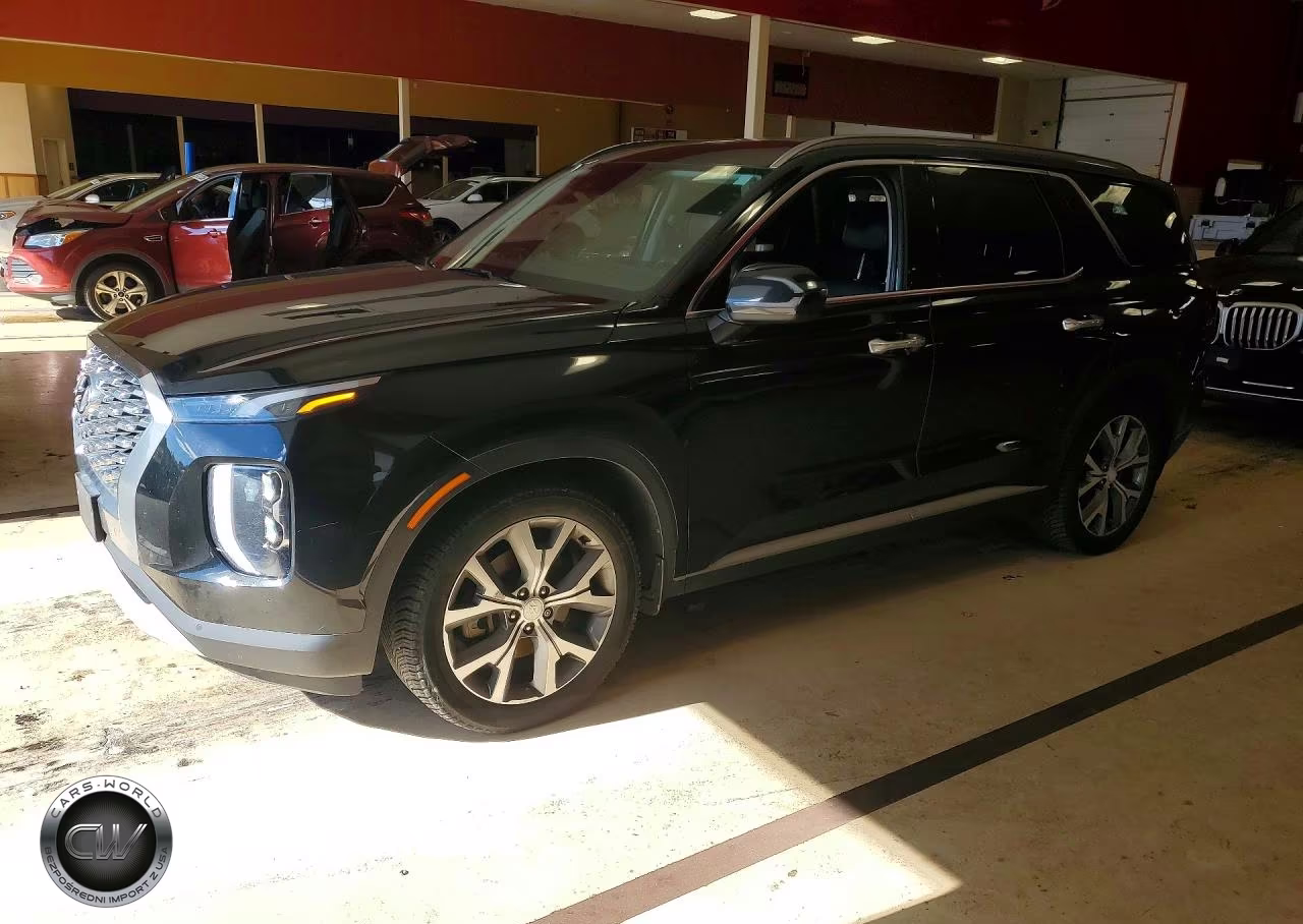 2020 Hyundai Palisade Sel VIN:KM8R4DHE4LU039086 - 1