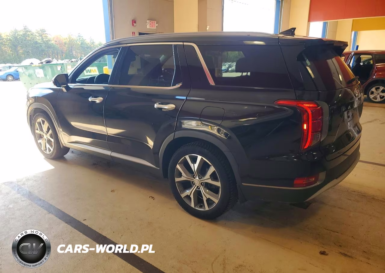 2020 Hyundai Palisade Sel VIN:KM8R4DHE4LU039086 - 2