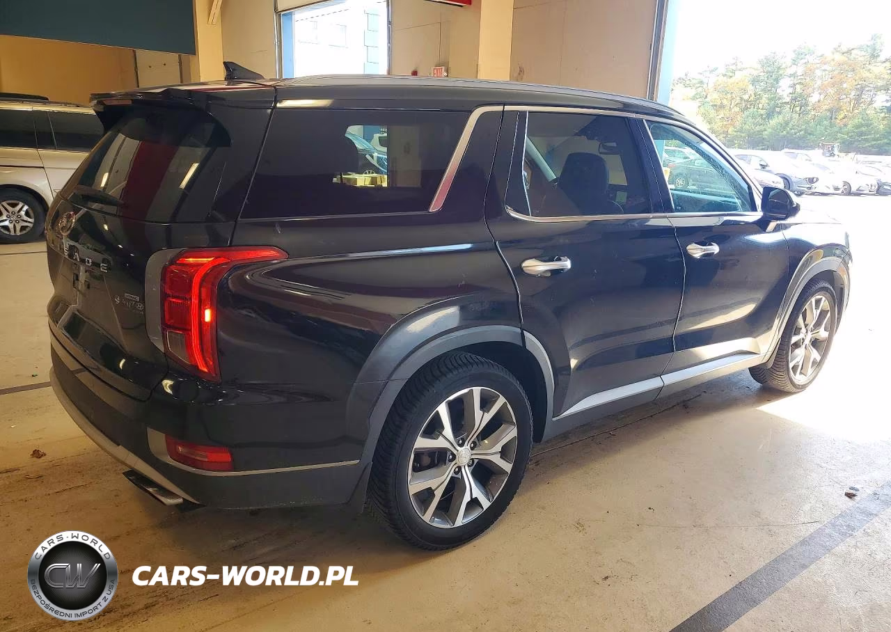 2020 Hyundai Palisade Sel VIN:KM8R4DHE4LU039086 - 3