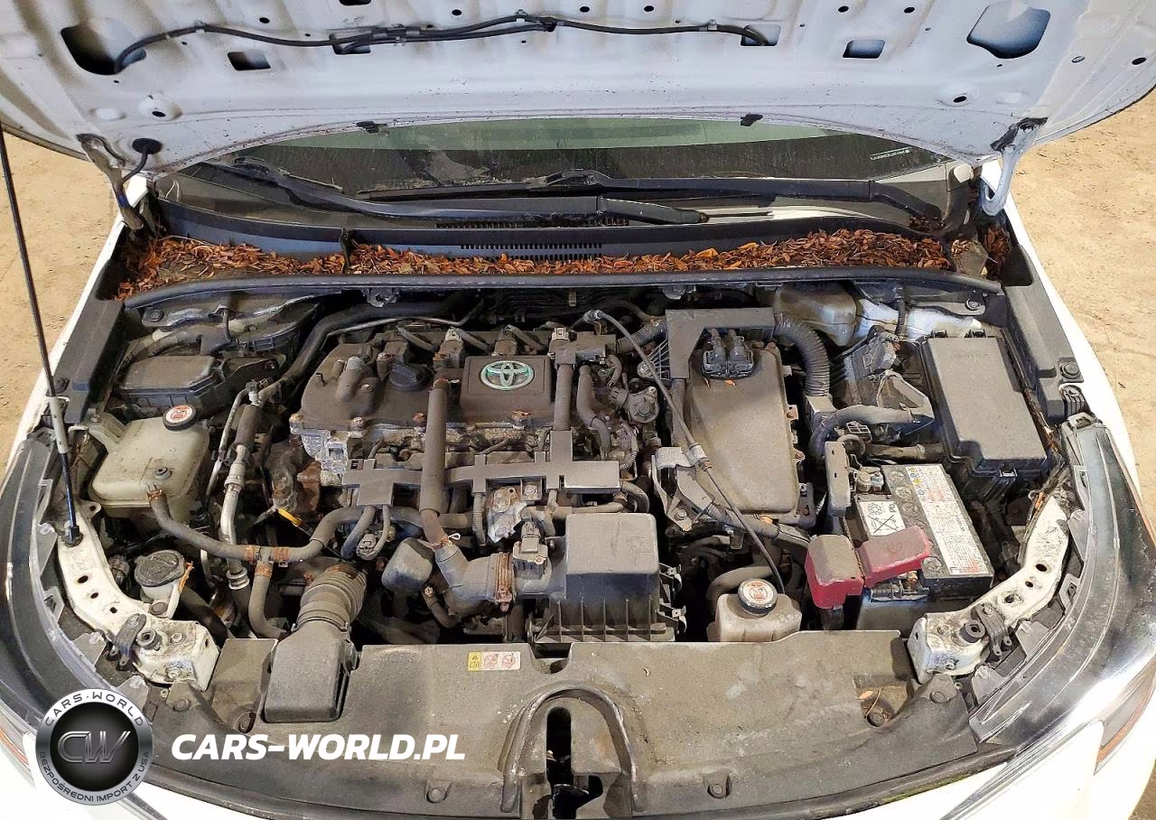 2020 Toyota Corolla Le VIN:JTDEBRBE3LJ011988 - 11
