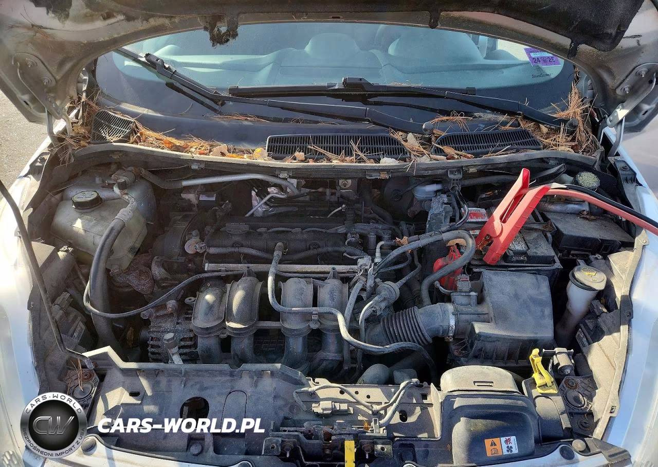 2013 Ford Fiesta Se VIN:3FADP4EJ3DM173607 - 11