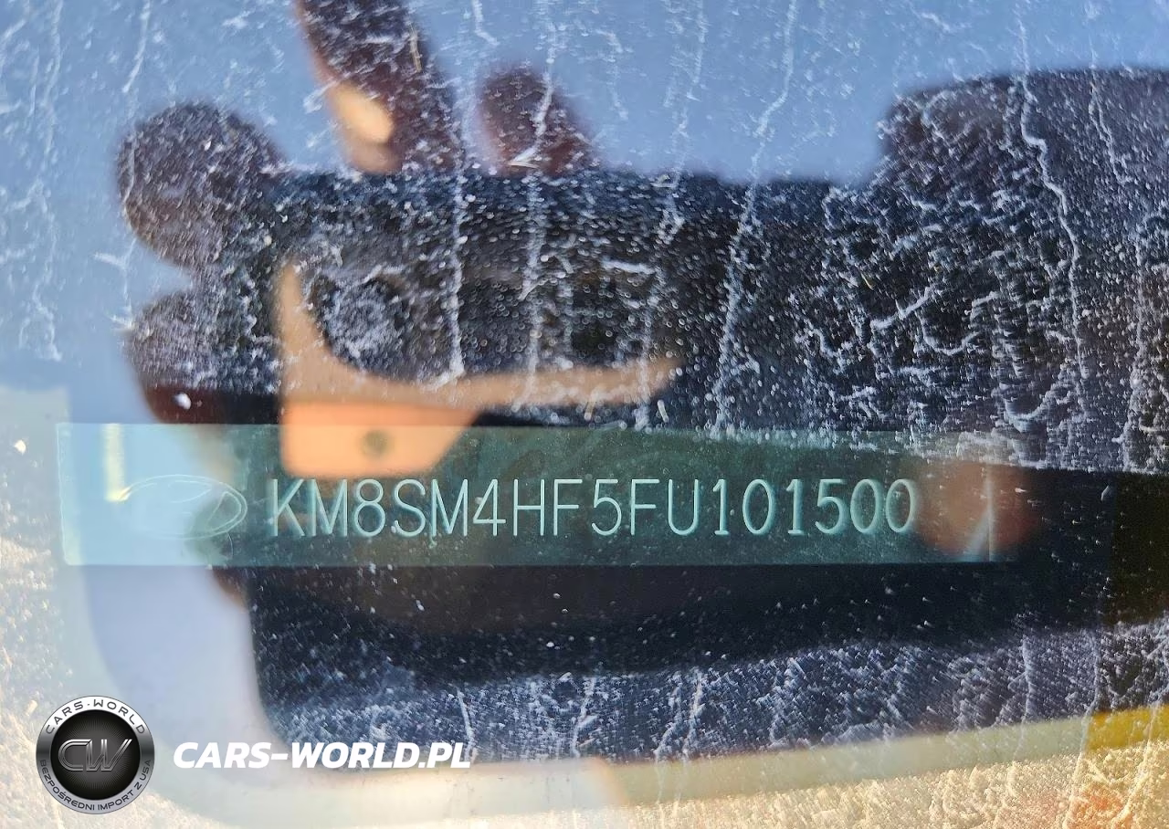 2015 Hyundai Santa Fe Gls VIN:KM8SM4HF5FU101500 - 12