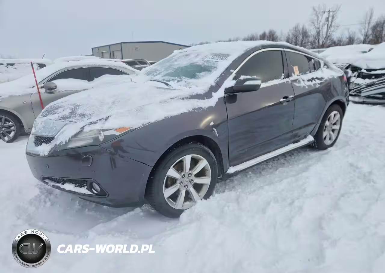 2010 Acura Zdx Technology