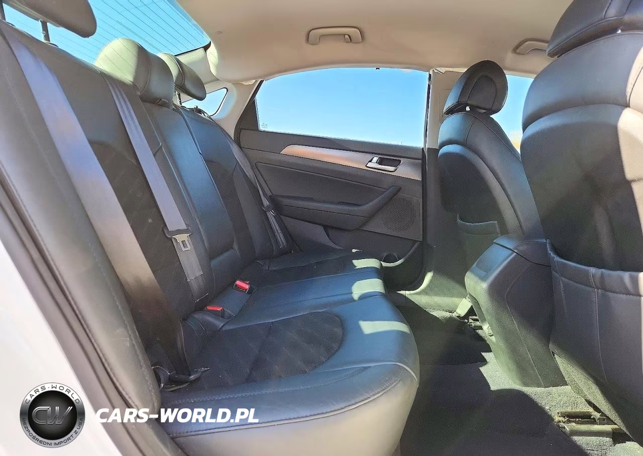 2015 Hyundai Sonata Sport VIN:5NPE34AF3FH043704 - 10