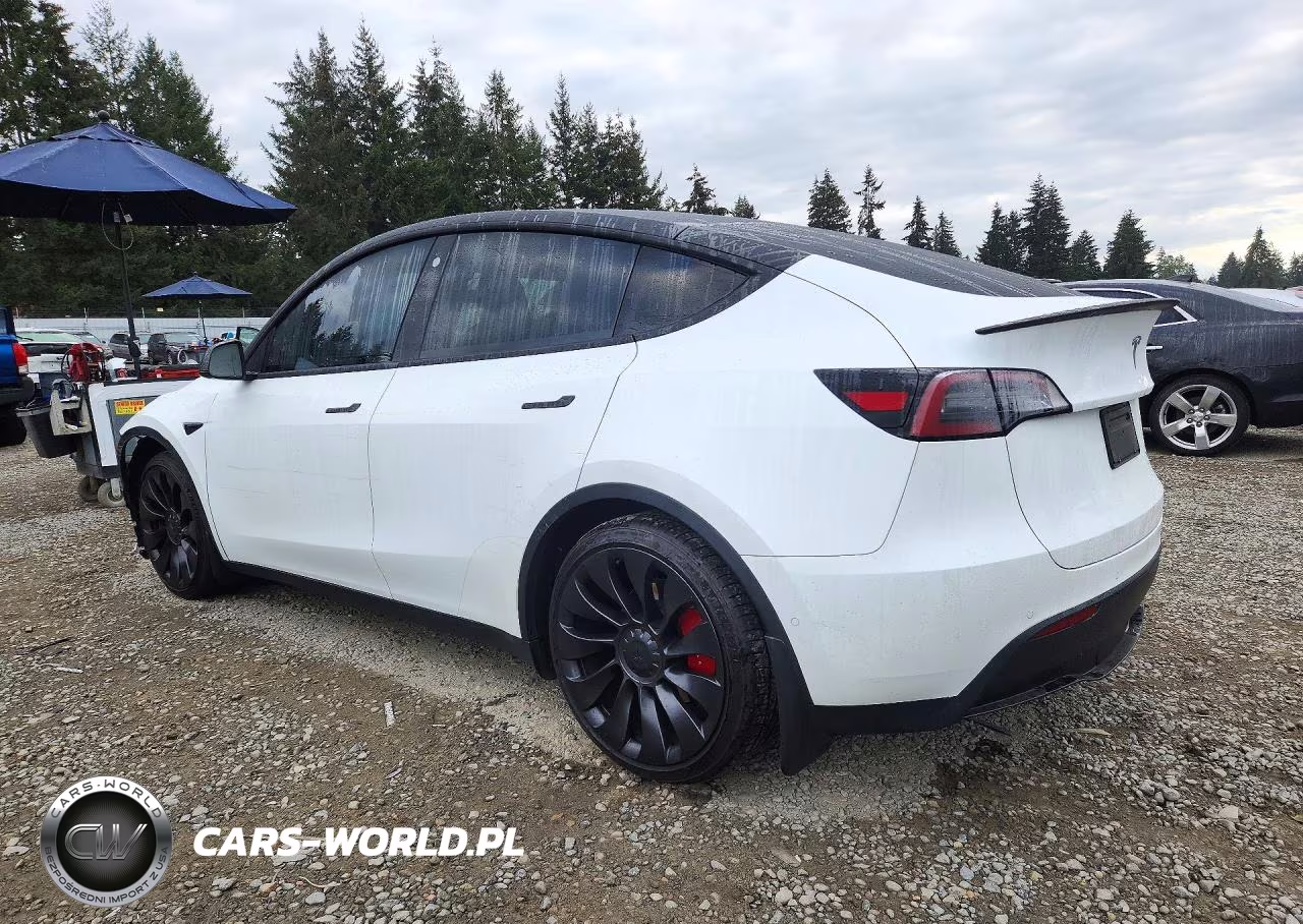 2022 Tesla Model Y VIN:7SAYGDEF0NF545713 - 2