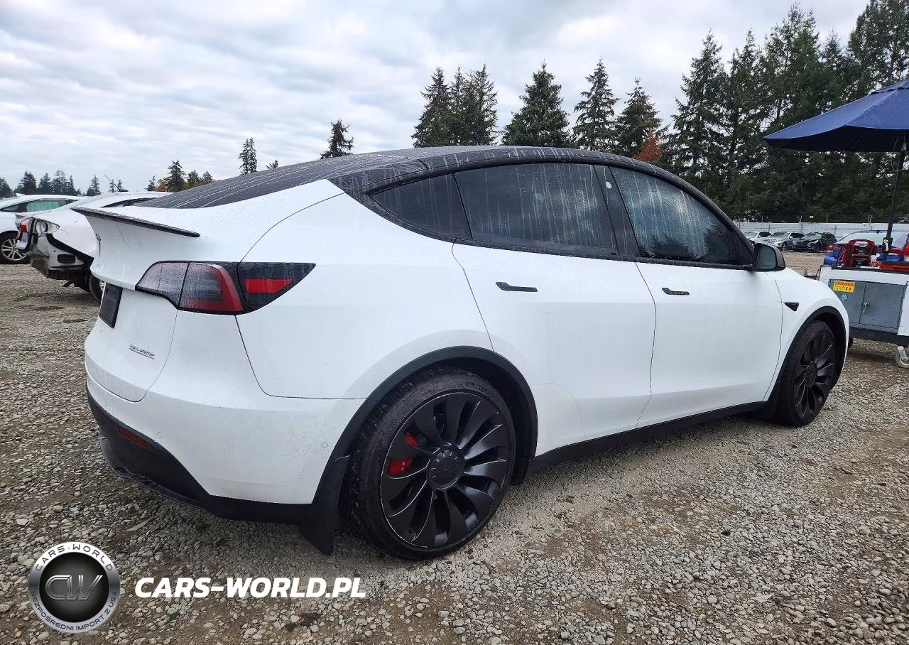 2022 Tesla Model Y VIN:7SAYGDEF0NF545713 - 3