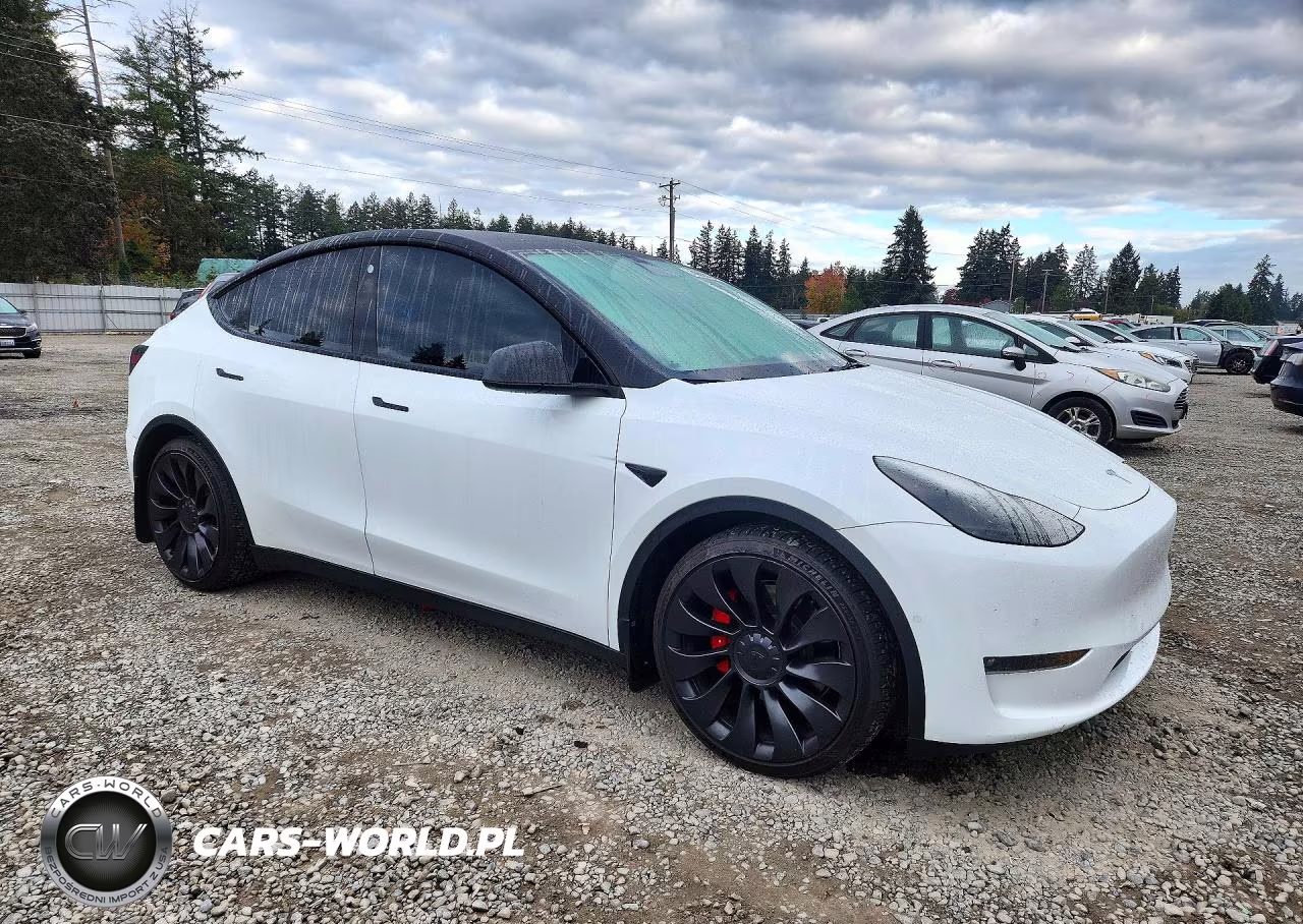 2022 Tesla Model Y VIN:7SAYGDEF0NF545713 - 4