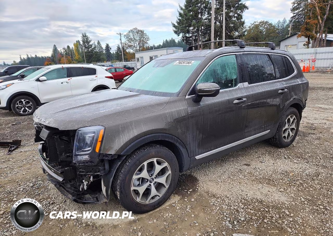 2020 Kia Telluride Ex VIN:5XYP3DHC1LG001037 - 1