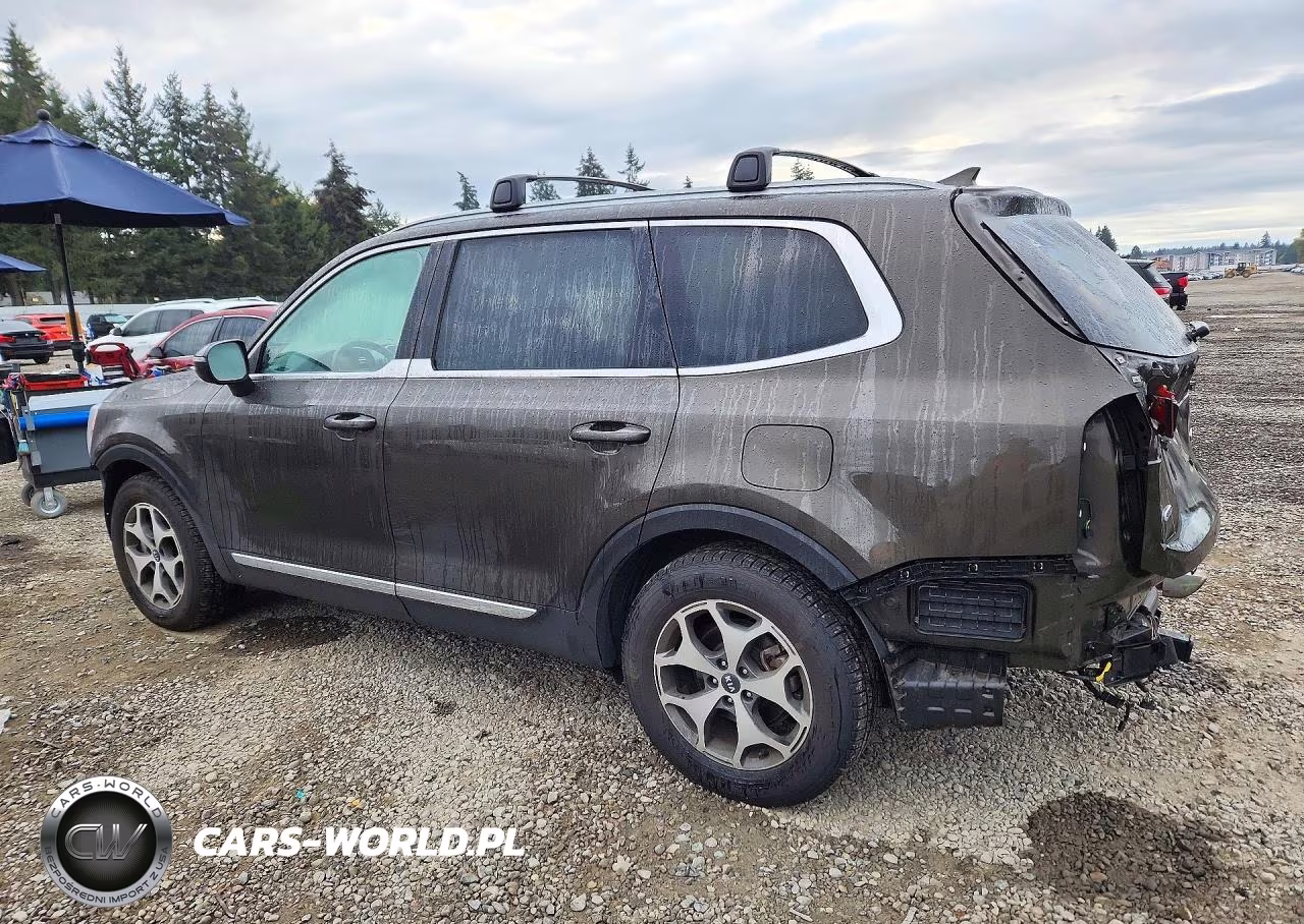 2020 Kia Telluride Ex VIN:5XYP3DHC1LG001037 - 2
