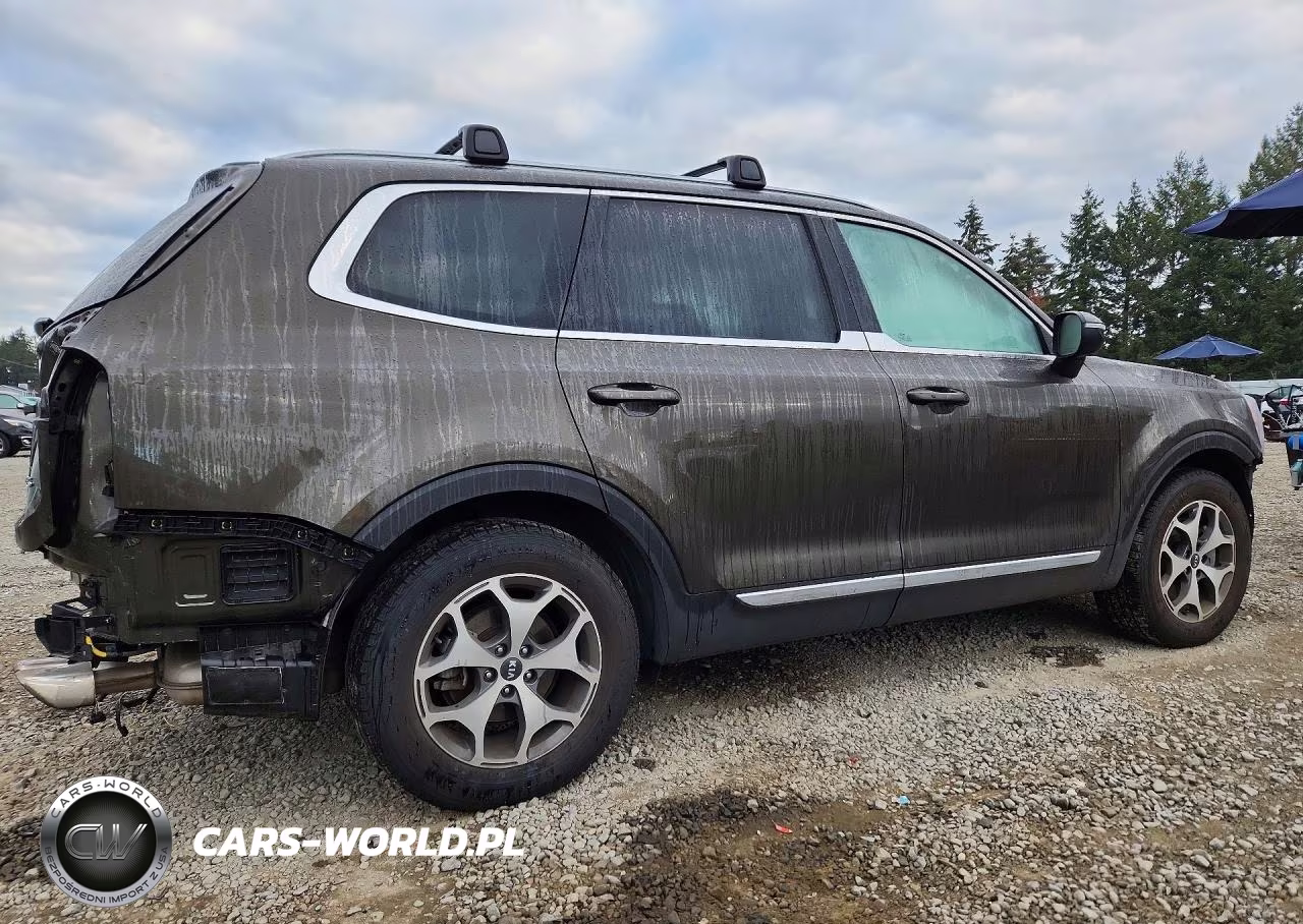 2020 Kia Telluride Ex VIN:5XYP3DHC1LG001037 - 3