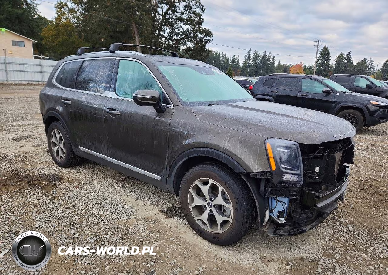 2020 Kia Telluride Ex VIN:5XYP3DHC1LG001037 - 4