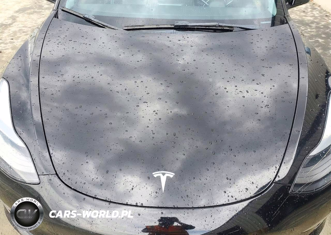 2023 Tesla Model 3 VIN:5YJ3E1EA1PF459927 - 11