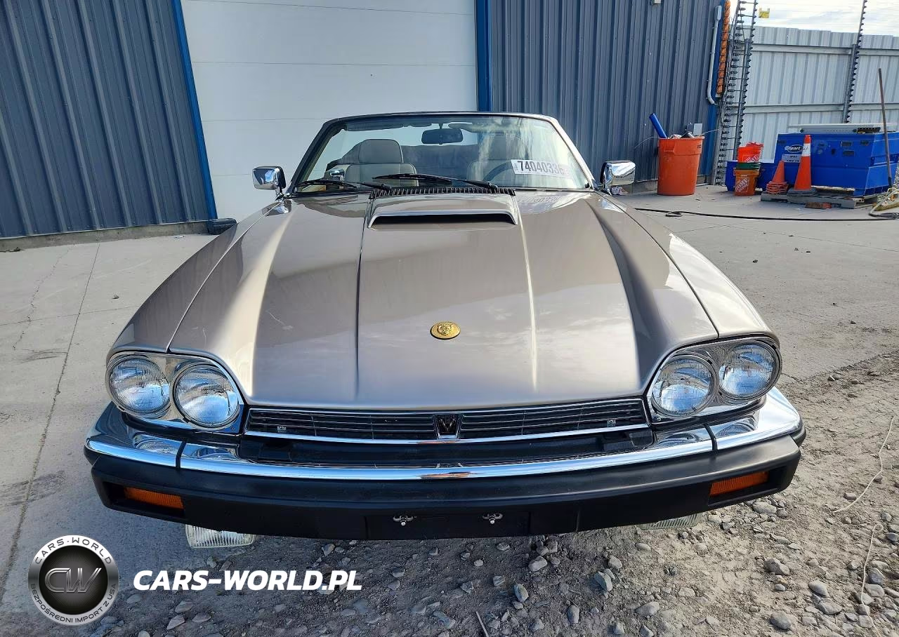 1991 Jaguar Xjs Classic Collection VIN:SAJTW4847MC178990 - 5