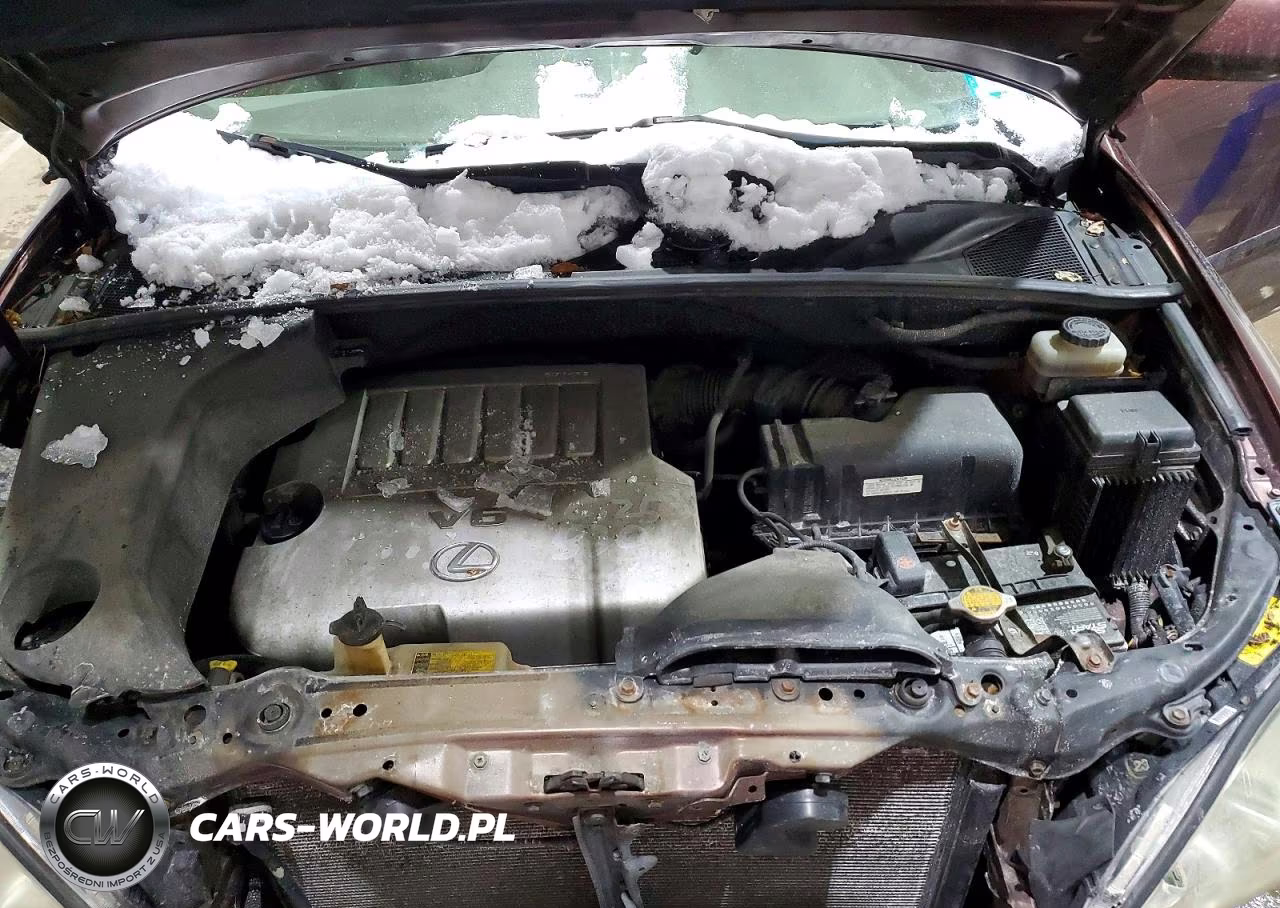 2008 Lexus Rx VIN:JTJHK31UX82853566 - 12