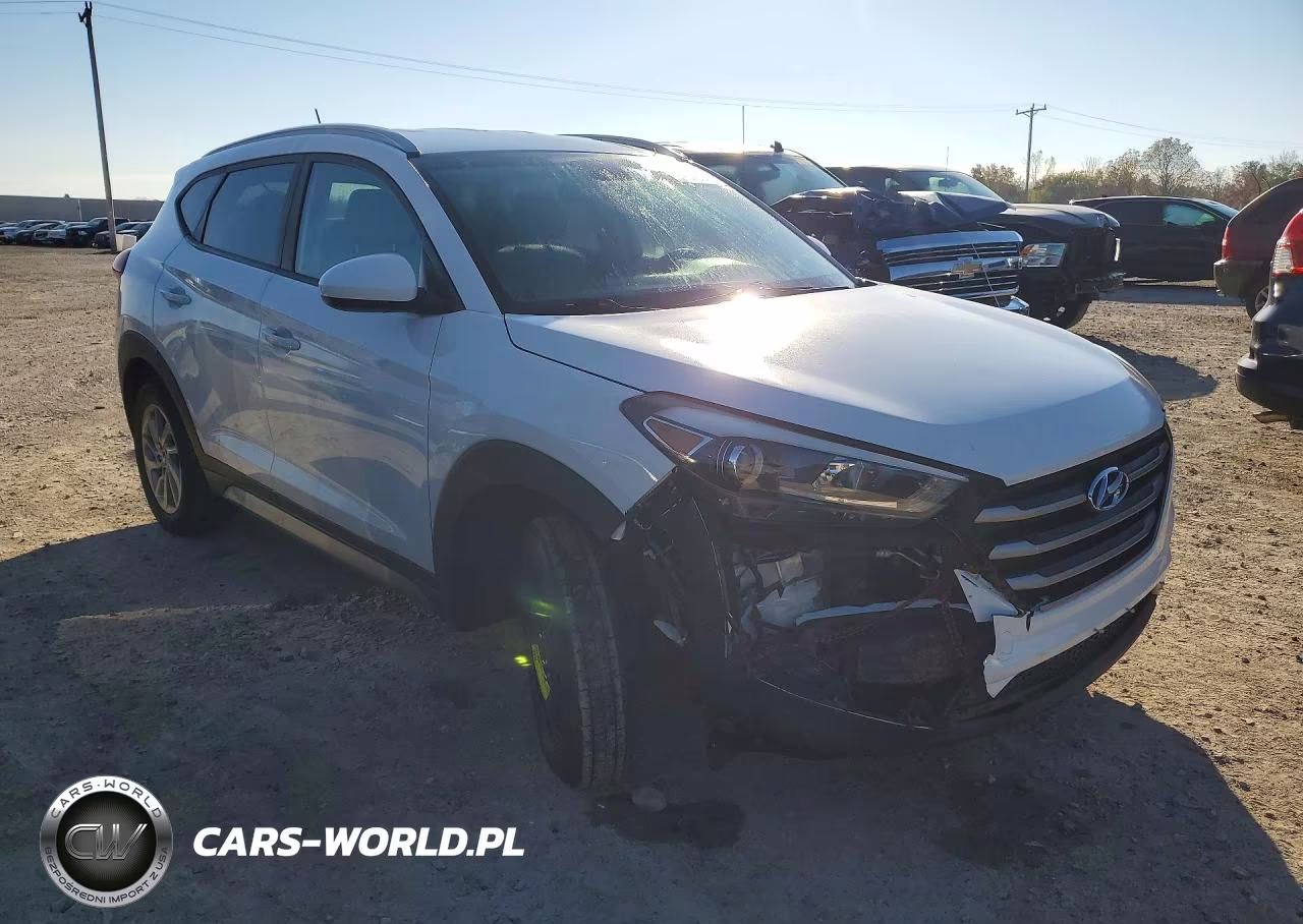 2017 Hyundai Tucson Se VIN:KM8J3CA40HU289699 - 4