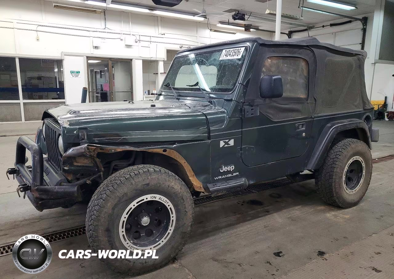 2003 Jeep Wrangler Commando VIN:1J4FA39S13P301492 - 1