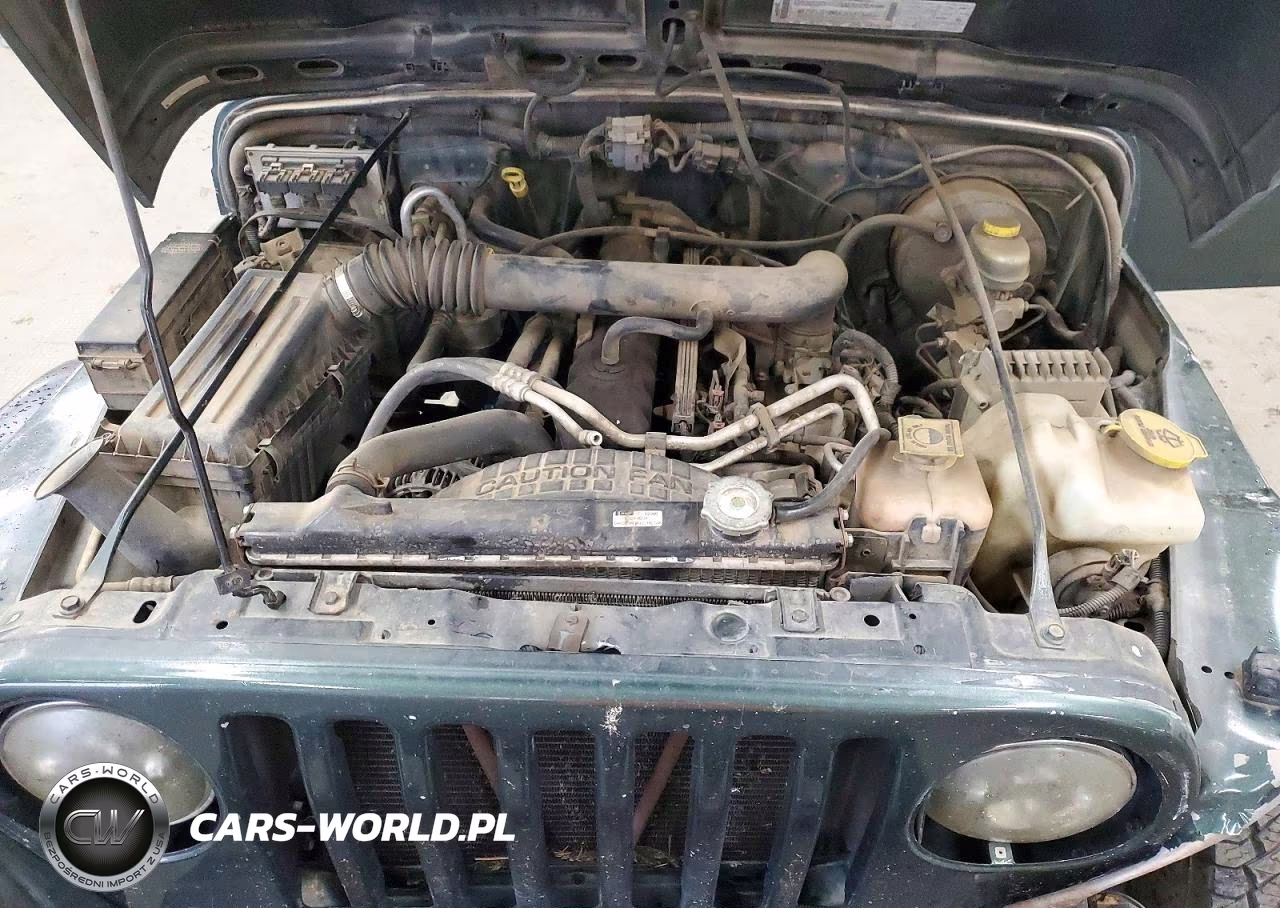 2003 Jeep Wrangler Commando VIN:1J4FA39S13P301492 - 12