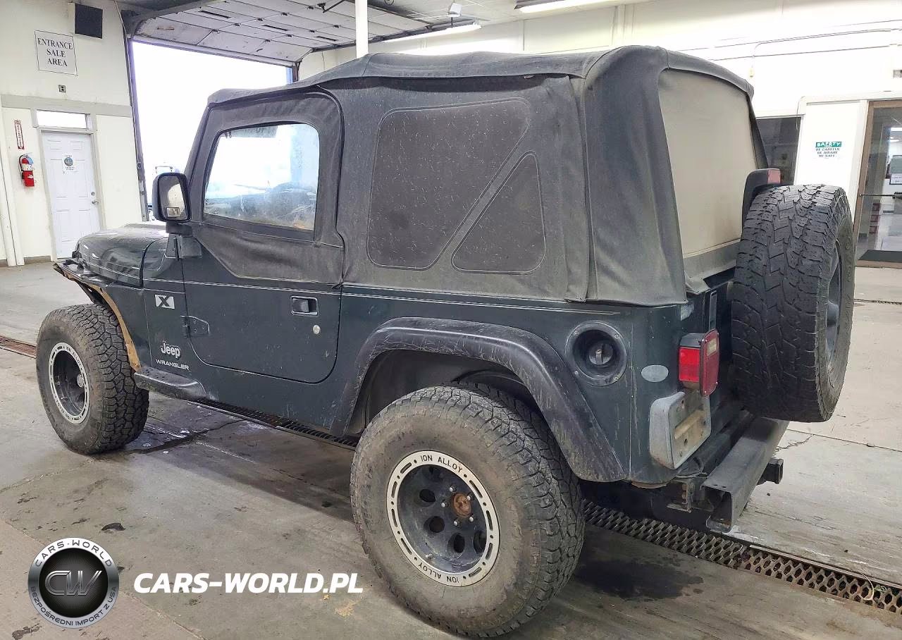 2003 Jeep Wrangler Commando VIN:1J4FA39S13P301492 - 2