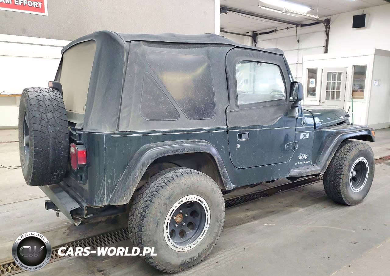 2003 Jeep Wrangler Commando VIN:1J4FA39S13P301492 - 3