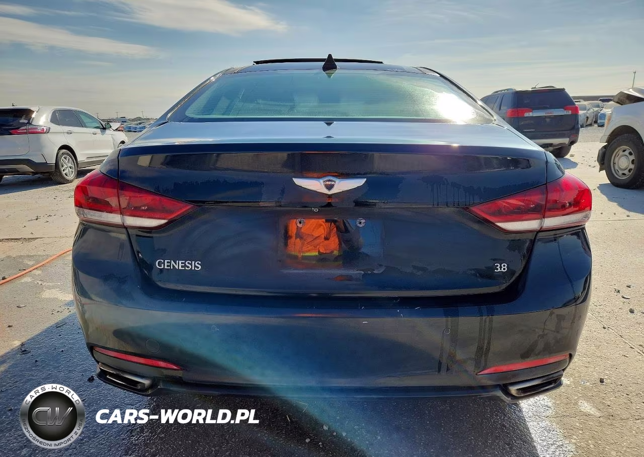 2015 Hyundai Genesis 3.8L VIN:KMHGN4JE1FU069052 - 6