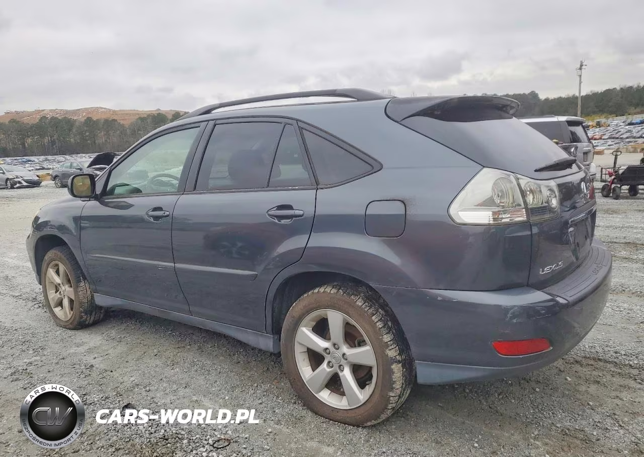 2004 Lexus Rx 330 VIN:JTJGA31U140010912 - 2