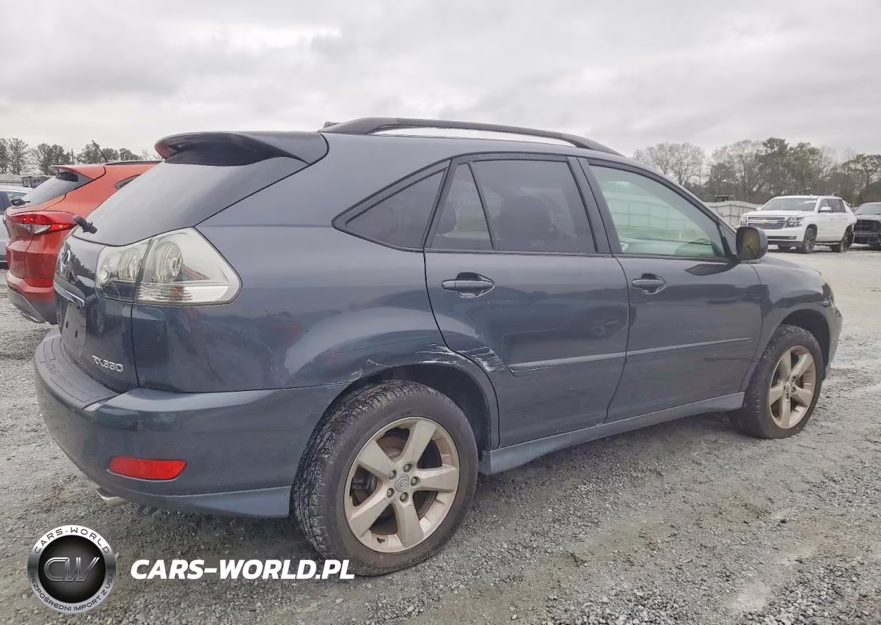 2004 Lexus Rx 330 VIN:JTJGA31U140010912 - 3