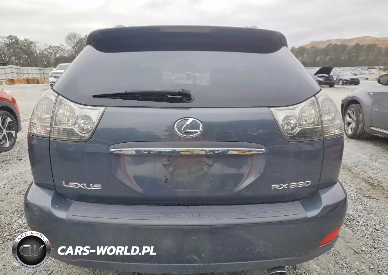 2004 Lexus Rx 330 VIN:JTJGA31U140010912 - 6