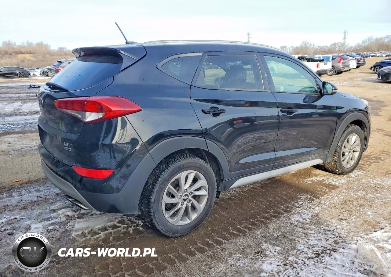 2017 Hyundai Tucson Limited VIN:KM8J3CA22HU493497 - 3