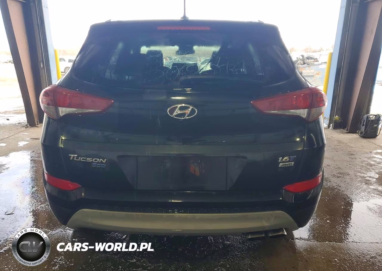 2017 Hyundai Tucson Limited VIN:KM8J3CA22HU493497 - 6
