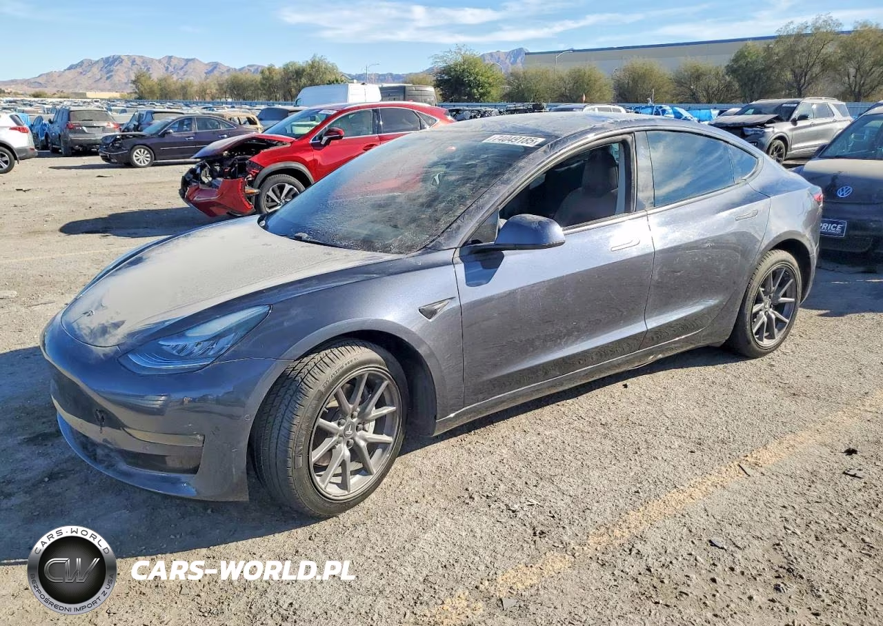 2019 Tesla Model 3