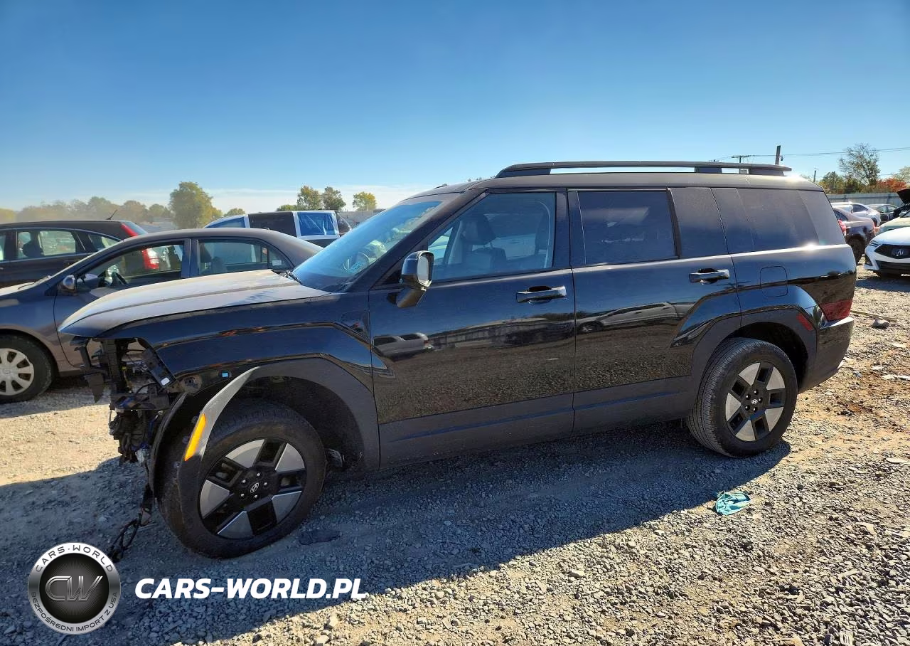 2024 Hyundai Santa Fe Sel VIN:5NMP2DG15RH006405 - 1