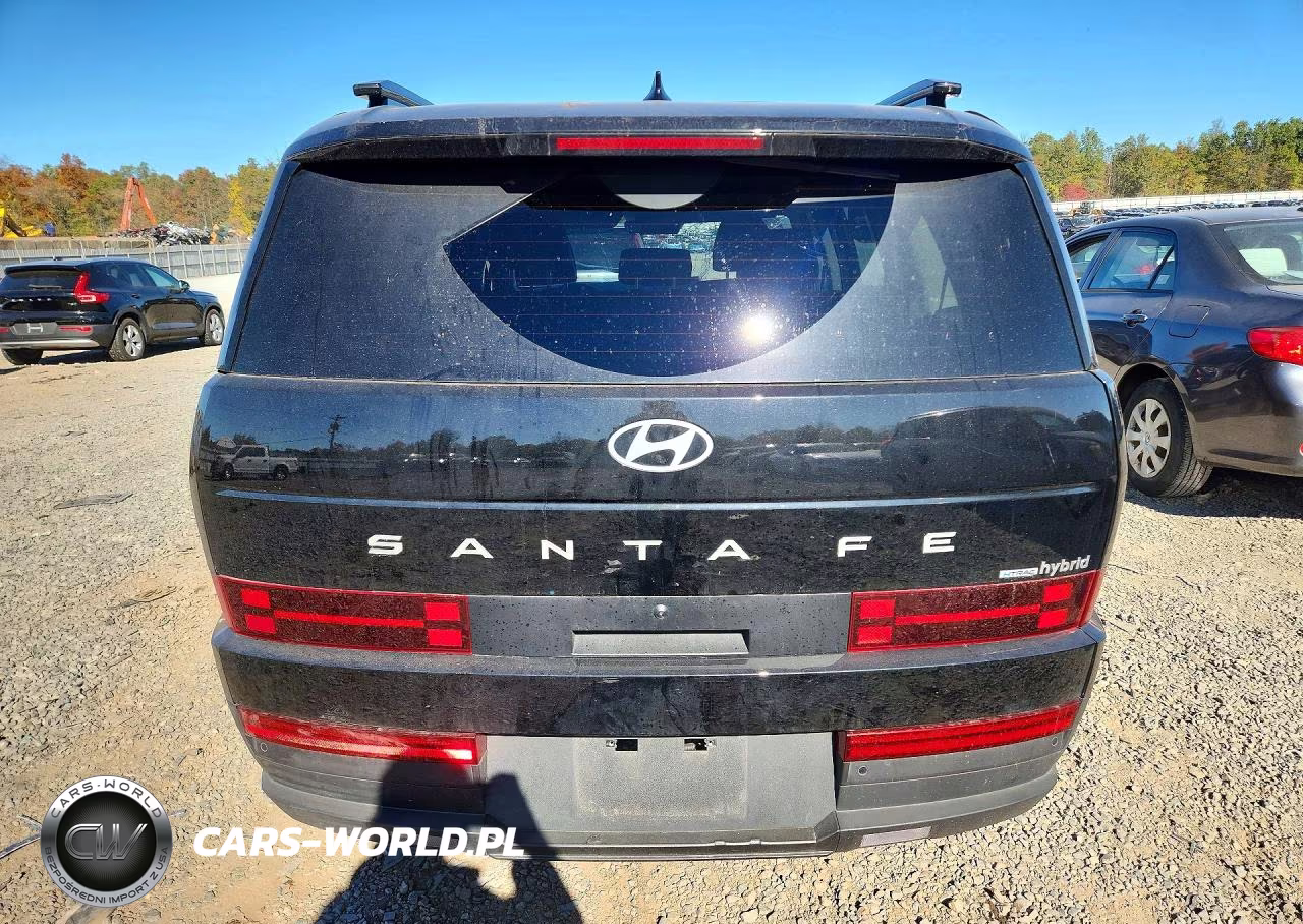 2024 Hyundai Santa Fe Sel VIN:5NMP2DG15RH006405 - 6
