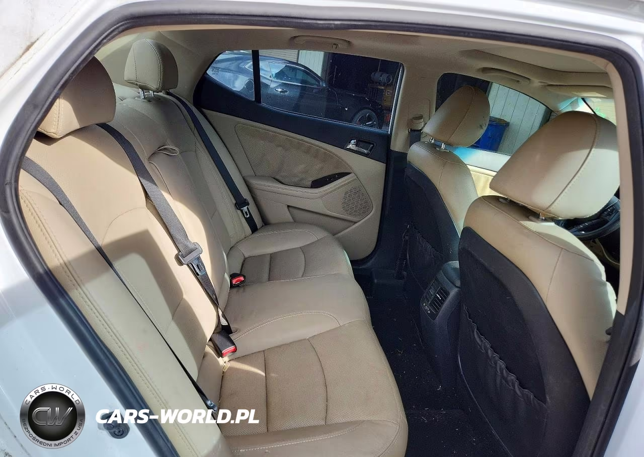 2013 Kia Optima Ex VIN:5XXGN4A71DG218200 - 10