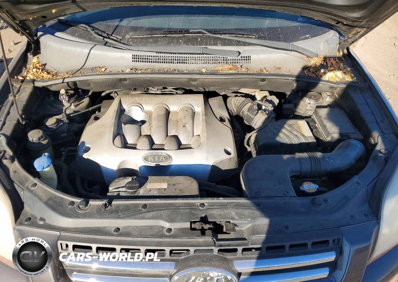 2006 Kia Sportage Lx VIN:KNDJF724267186801 - 12