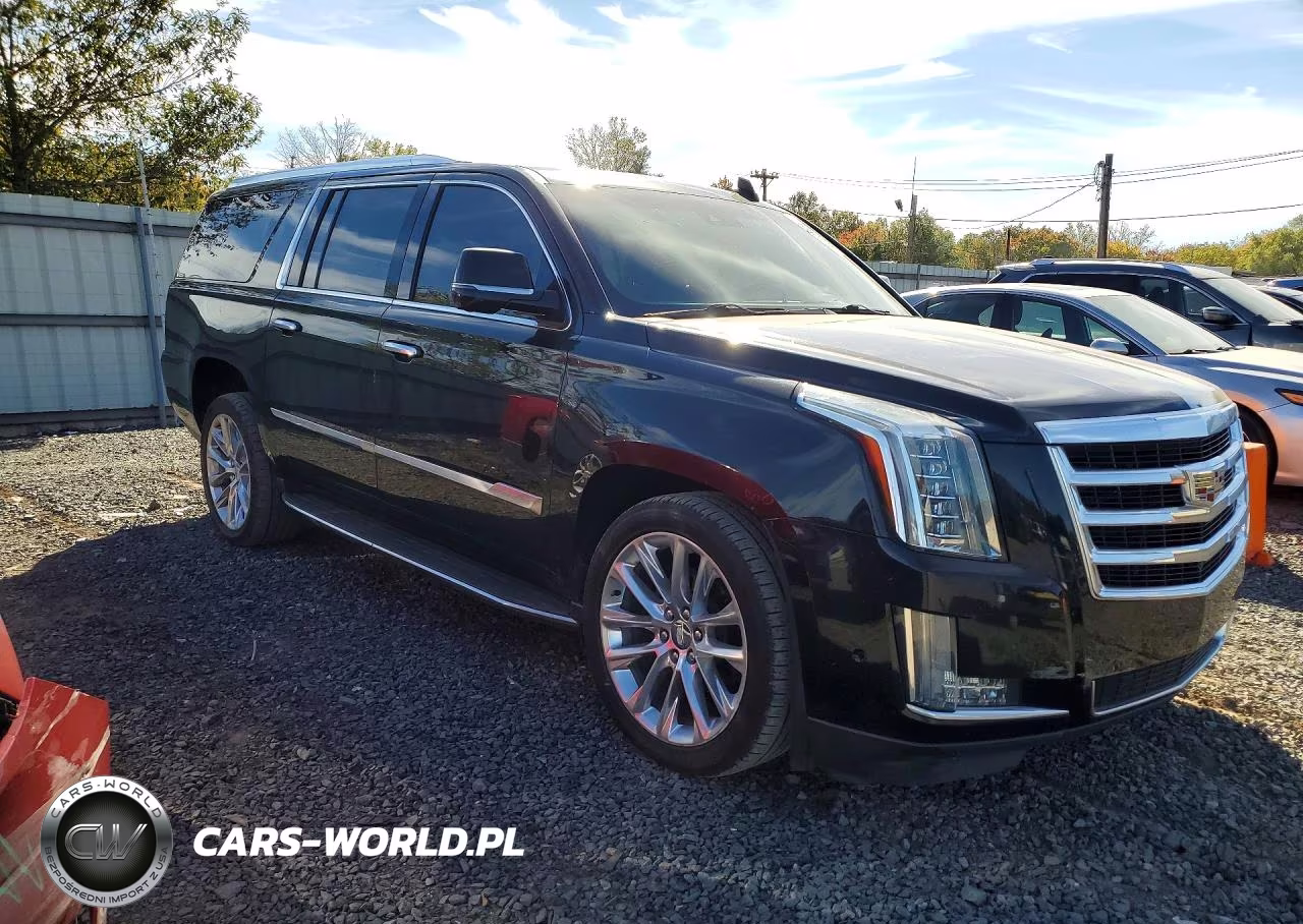 2019 Cadillac Escalade Esv Luxury VIN:1GYS4HKJ7KR195492 - 4