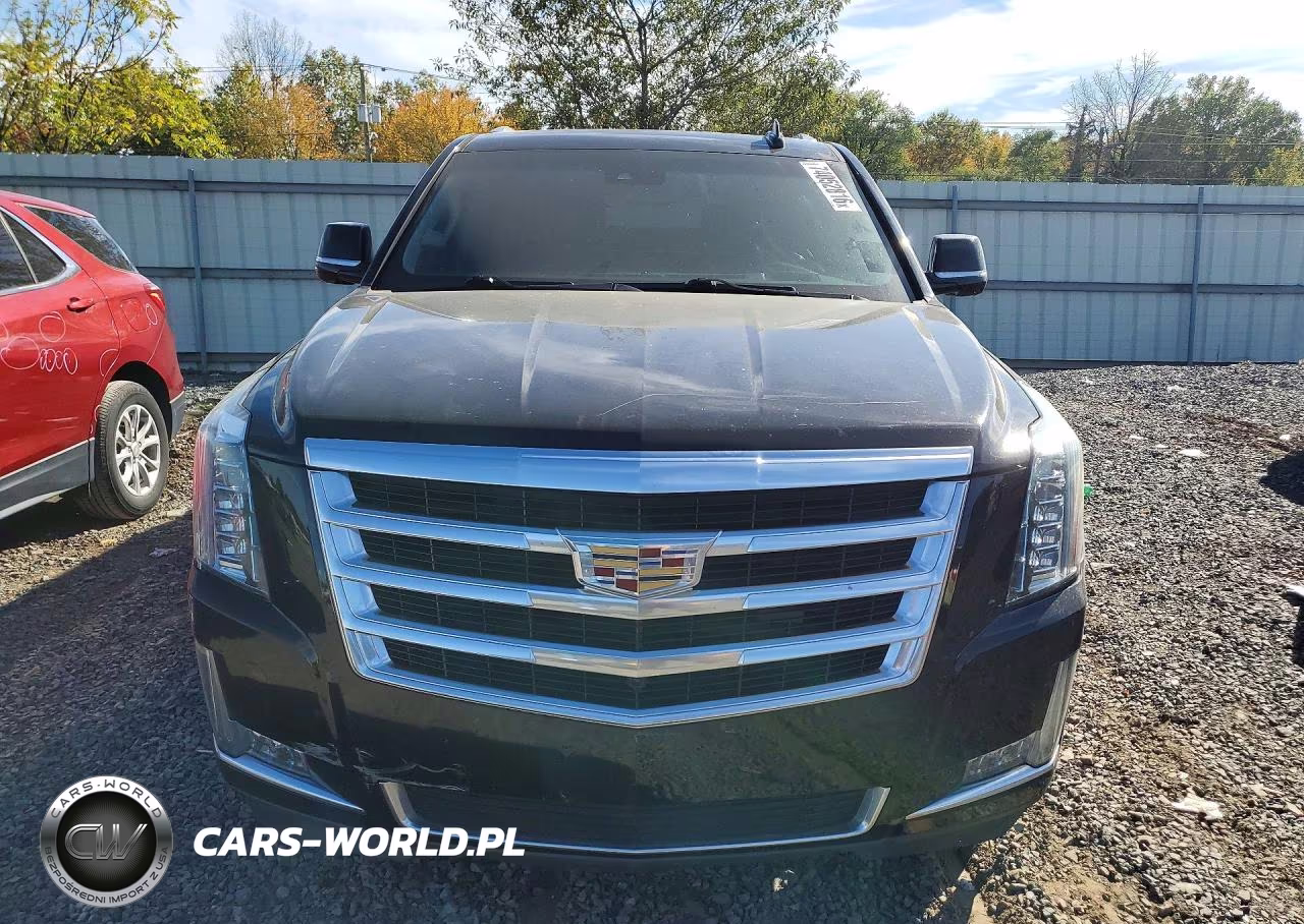 2019 Cadillac Escalade Esv Luxury VIN:1GYS4HKJ7KR195492 - 5