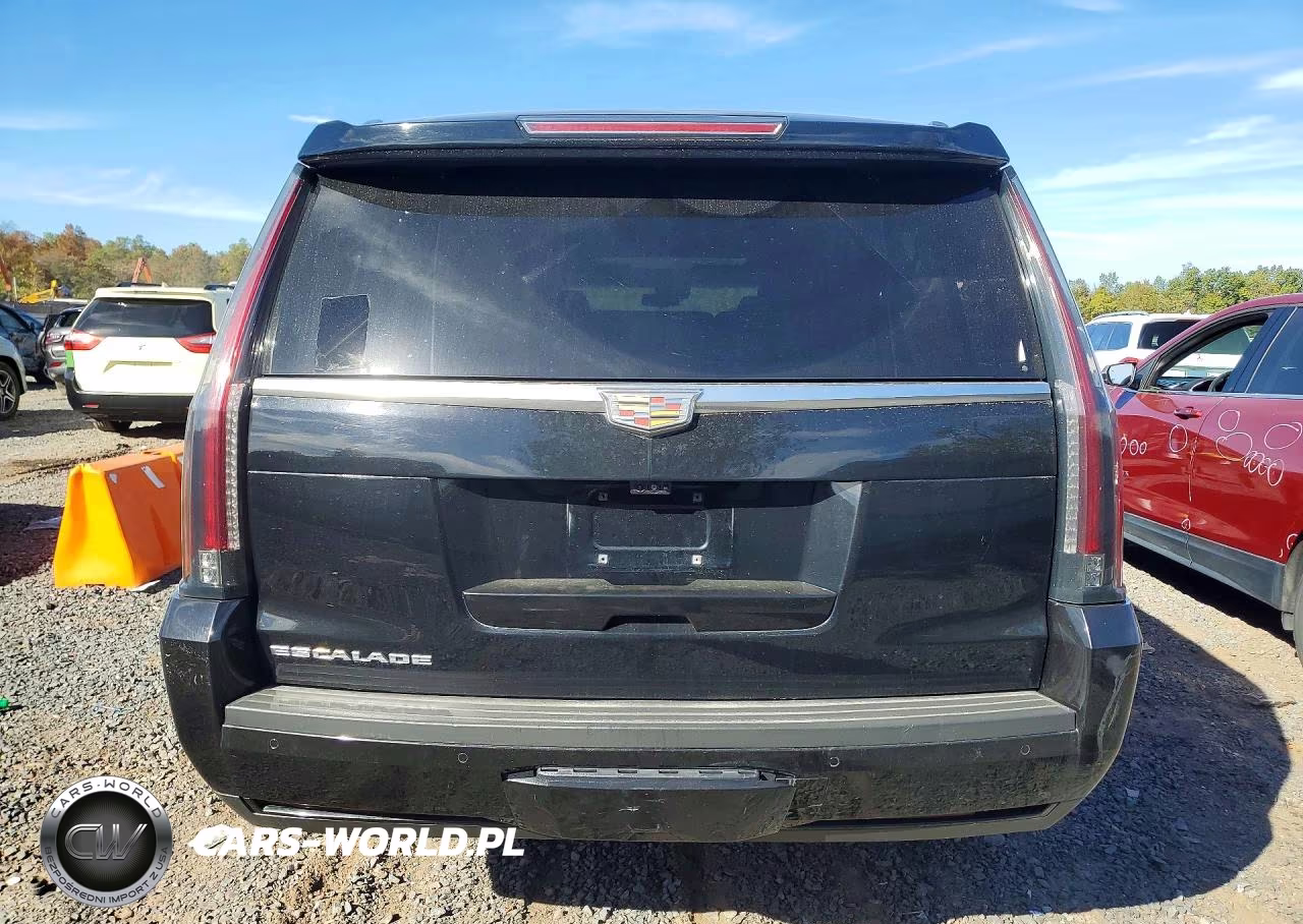 2019 Cadillac Escalade Esv Luxury VIN:1GYS4HKJ7KR195492 - 6