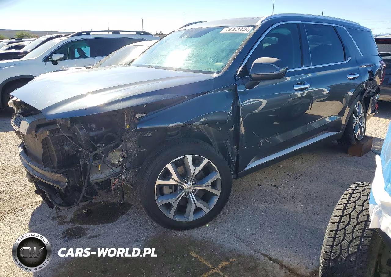 2020 Hyundai Palisade Sel VIN:KM8R34HE5LU117149 - 1