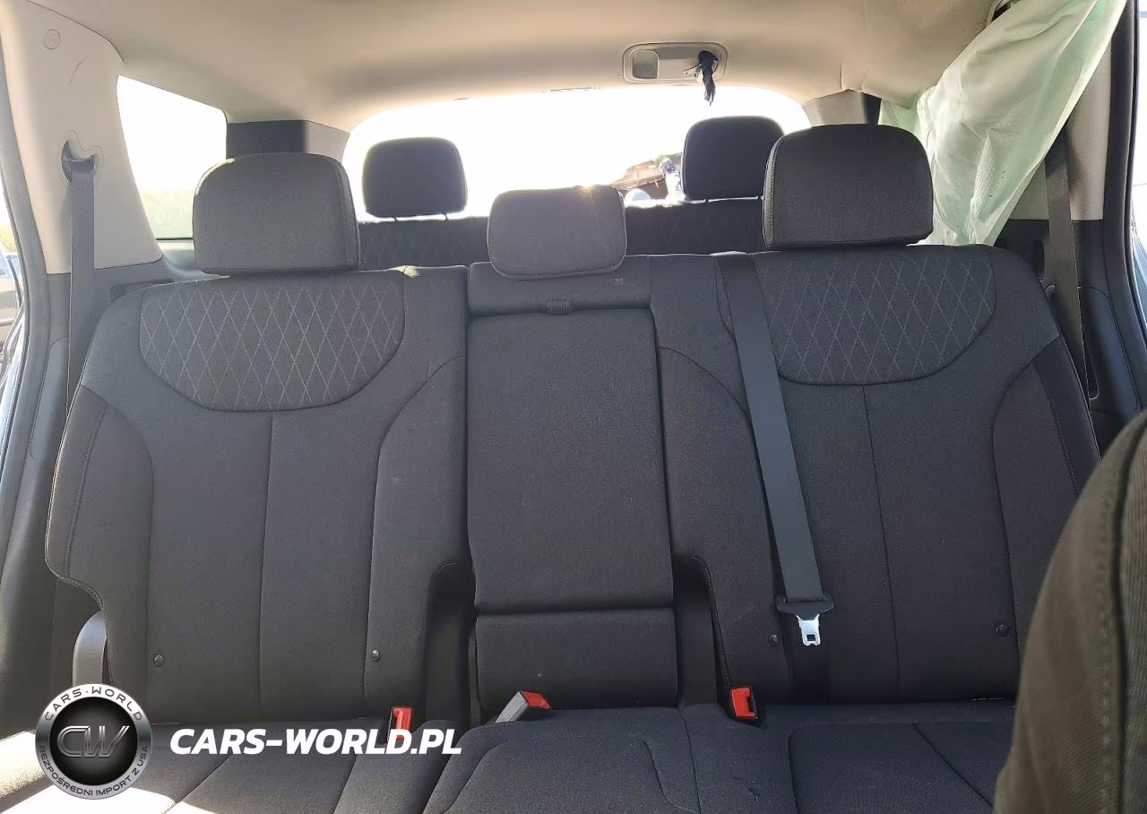 2020 Hyundai Palisade Sel VIN:KM8R34HE5LU117149 - 10