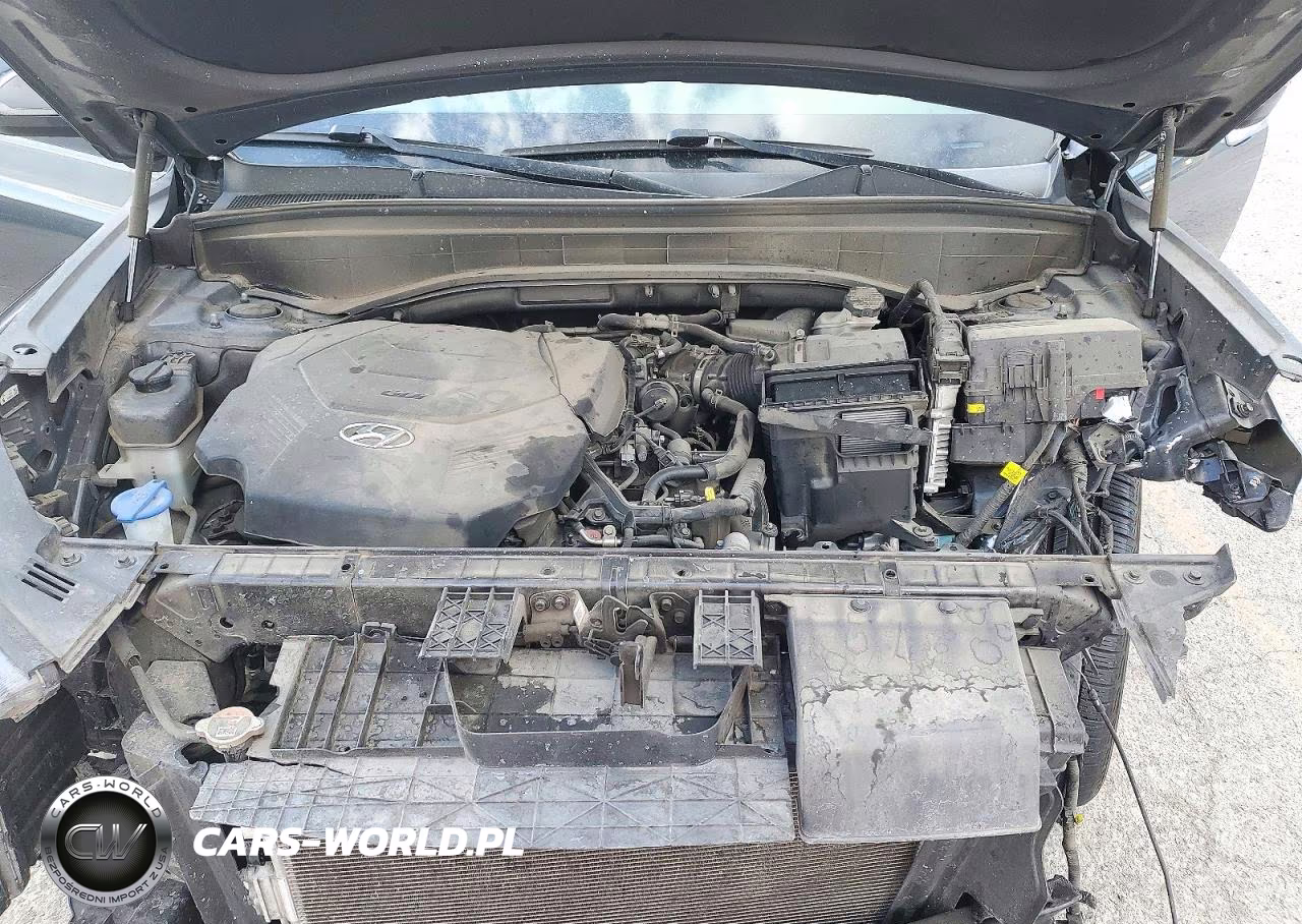 2020 Hyundai Palisade Sel VIN:KM8R34HE5LU117149 - 12