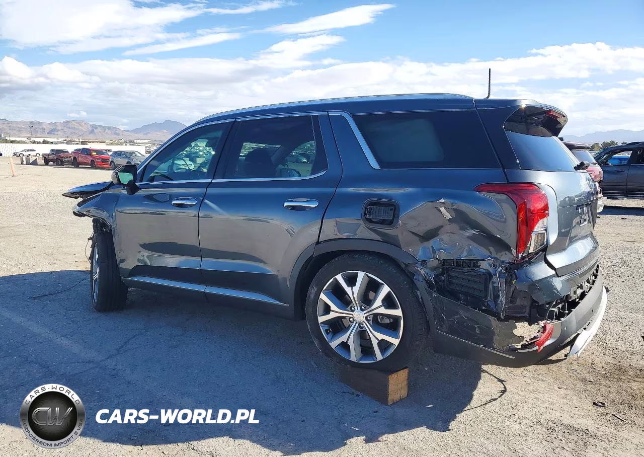 2020 Hyundai Palisade Sel VIN:KM8R34HE5LU117149 - 2